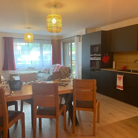Cosy Au Coeur Du Village Avec Terrasse Et Garage - - Fr-1-623-295 * Les Gets